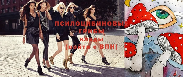 герыч Вяземский