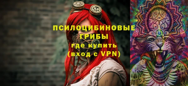 герыч Вяземский