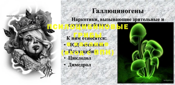 Альфа ПВП Вязьма