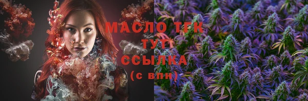 гидра Вязники