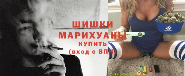 гидра Вязники