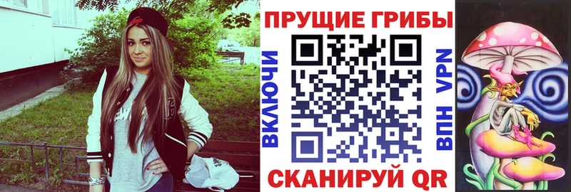 Псилоцибиновые грибы ЛСД  Купить  Чадан 